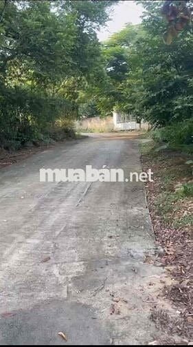 Chính Chủ Bán 7000m2 Đất Thổ Cư