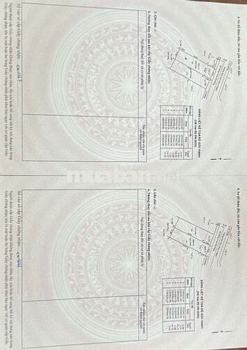 Đất MT nguyễn thị nghé . thới tam thôn . hốc môn . 6 x 25 giá 5,2 tỷ