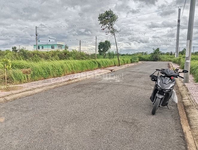 Nhận đo đạc, phát cỏ, xây ranh, cắm mốc đất vườn, đất nền Long An