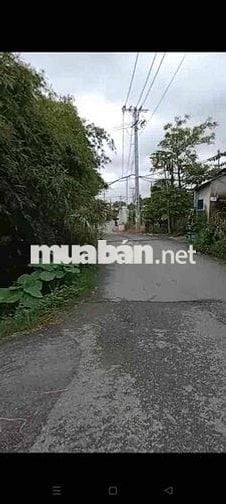 chính chủ bán lo đất mặt tiền Nhi bình 4 dt 1600 m giá 20 tỷ