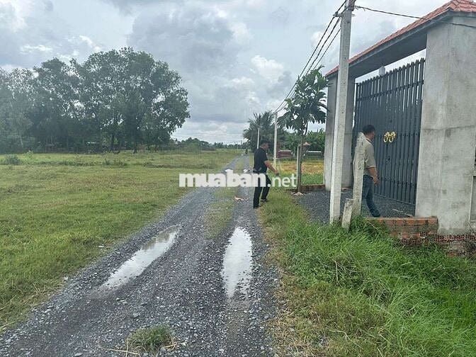Đất Xã Đức Lập Hạ , Đức Hoà , 5x17 85m2/ giá 680tr