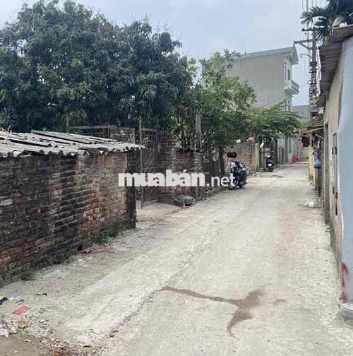 Bán đất , Vân Trì , Đông Anh 65m2 , MT4.5m thông ô tô