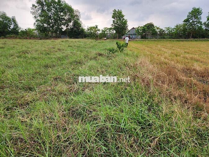 Đất thổ cư ở đô thị - thị trấn Hậu Nghĩa - Đức Hòa Long An