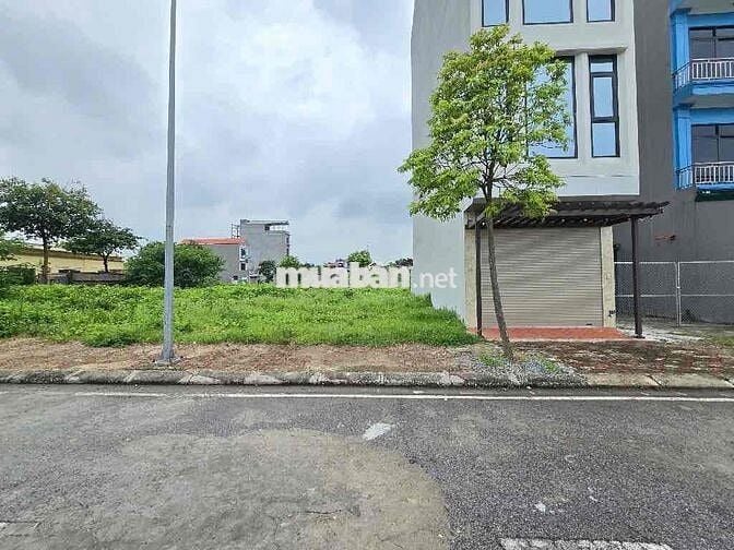 🔥 Cực hiếm – Chủ cần tiền, hạ ngay tám trăm trịu