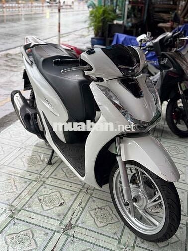 Sh 150 abs 2022