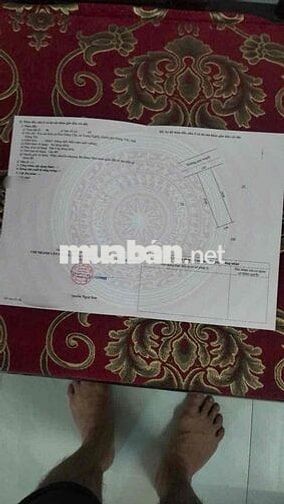Bán đất 100m² tại Trung Nghĩa – TP. Hưng Yên, vị trí siêu đẹp 	•	Diện