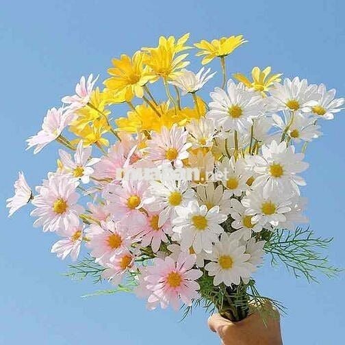 🍀 Cần B.ÁN GẤP lô đất đường Đô Đốc Lộc, Hoà Xuân, Đà Nẵng.