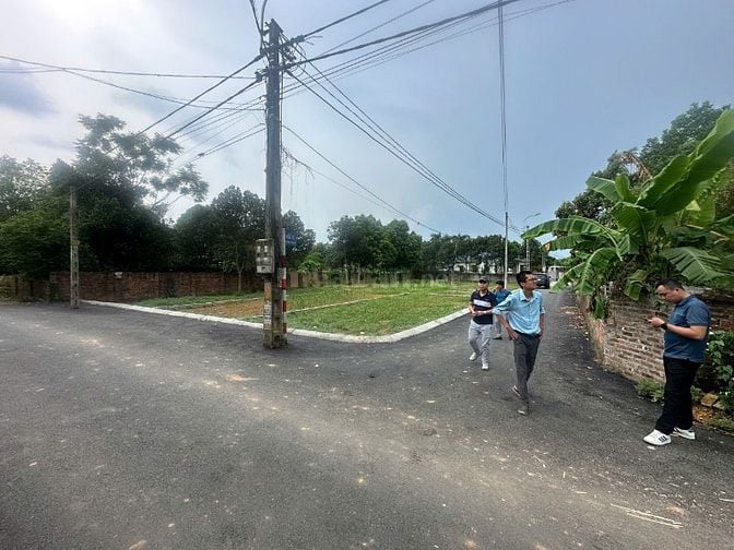 Bán đất Cổ Đông Sơn Tây, vị trí trung tâm, ngay cạnh quốc lộ 21, sổ đỏ
