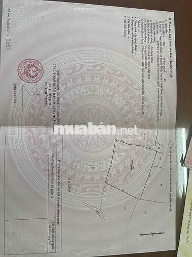 BÁN ĐẤT KHU VỰC ĐIỆN GIÓ – XÃ PHƯỚC NINH, HUYỆN THUẬN NAM, NINH THUẬN