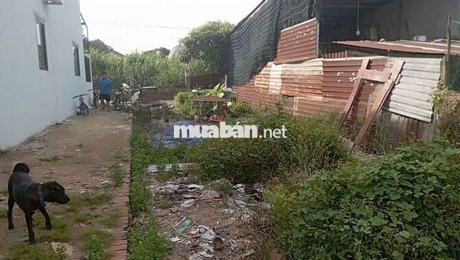BÁN GẤP LÔ ĐẤT 5x20m HUỲNH THỊ MÀI, XÃ TÂN HIỆP, HÓC MÔN