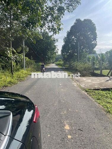 Đất Phú An Bến Cát 15x90, nhựa 6m thông giá 3ty200