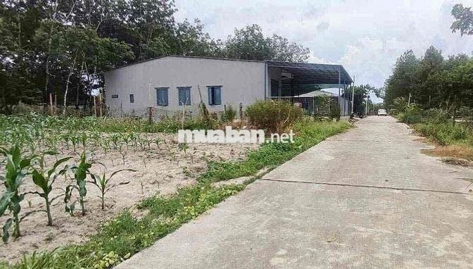 Đất thổ cư xây trọ 263m2 ngay cổng KCN SIKIKO giá đúng 390tr 100%