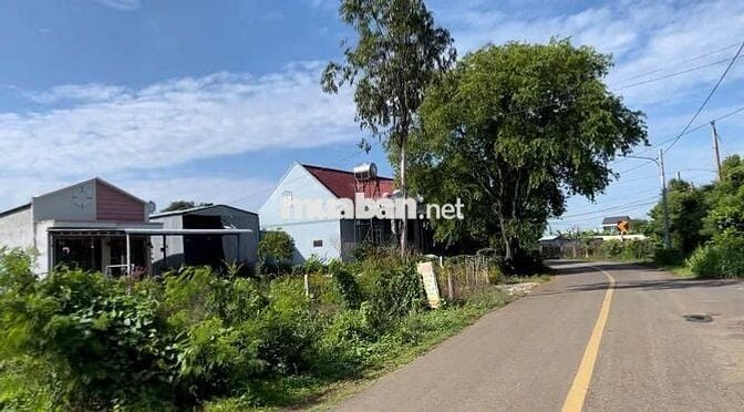 SỞ HỮU NGAY 1000M² ĐẤT FULL HỒNG – VỊ TRÍ GẦN BIỂN BÀ RỊA VŨNG TÀU