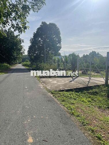 Đất Phú An Bến Cát 15x90, nhựa 6m thông giá 3ty200