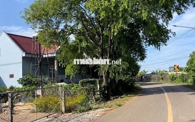 SỞ HỮU NGAY 1000M² ĐẤT FULL HỒNG – VỊ TRÍ GẦN BIỂN BÀ RỊA VŨNG TÀU