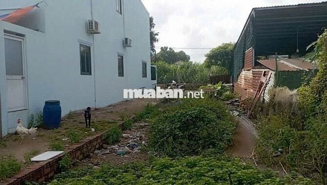 BÁN GẤP LÔ ĐẤT 5x20m HUỲNH THỊ MÀI, XÃ TÂN HIỆP, HÓC MÔN