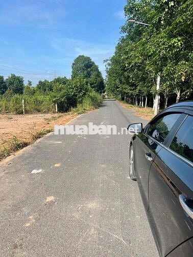Đất Phú An Bến Cát 15x90, nhựa 6m thông giá 3ty200
