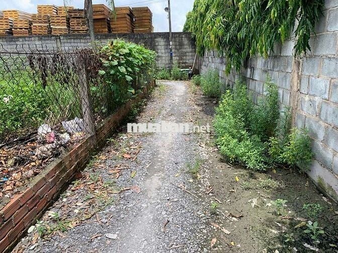 ĐẤT GÓC 2 MẶT TIỀN NHỊ BÌNH 3,DT:250m2,SHR, CHỈ 5.7 TỶ
