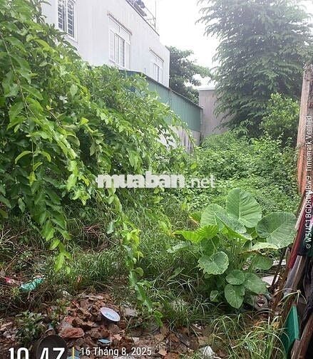 Lô ***, Đất Tam Phú, KDC Hiện Hữu, 108m2, Ngang 5m,  Chỉ 5,X Tỷ.