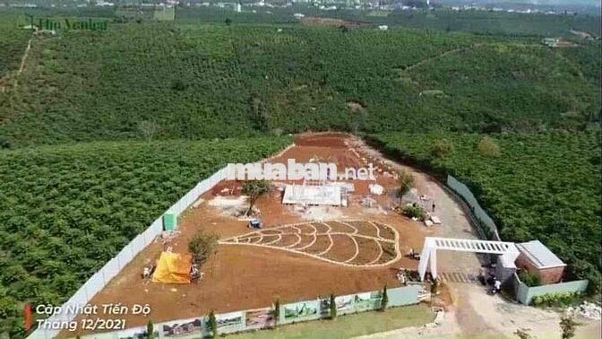 Tôi Chính Chủ Bán 5 lô đất. Xã lộc ngãi. Bảo Lộc