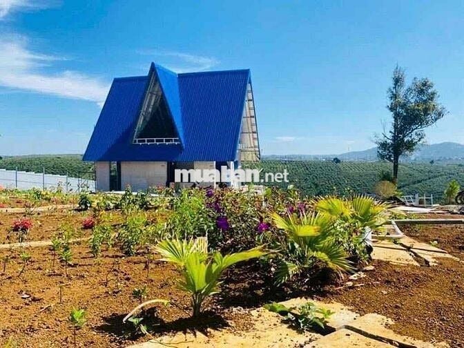 Tôi Chính Chủ Bán 5 lô đất. Xã lộc ngãi. Bảo Lộc