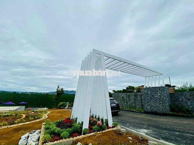 Tôi Chính Chủ Bán 5 lô đất. Xã lộc ngãi. Bảo Lộc