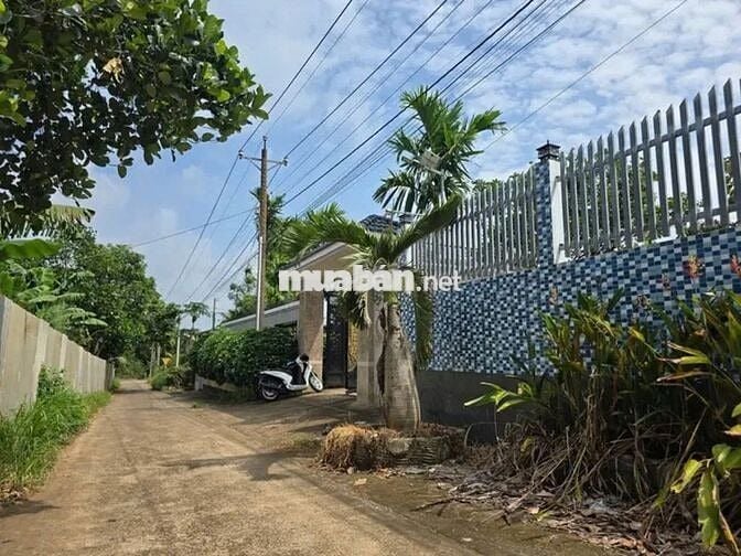 BÁN NHÀ VƯỜN 3800m² – CÓ 300m² THỔ CƯ – VƯỜN TRÁI CÂY THU HOẠCH