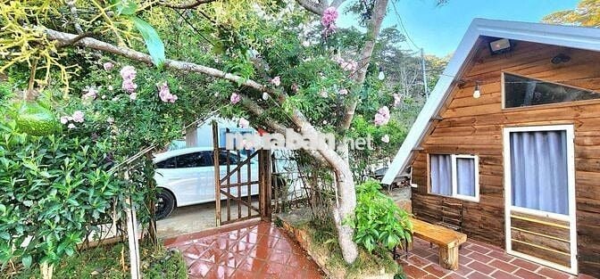 🌿 CHO THUÊ NHÀ NGUYÊN CĂN VIEW ĐỒI QUẠT GIÓ – CẦU ĐẤT, ĐÀ LẠT 🌿