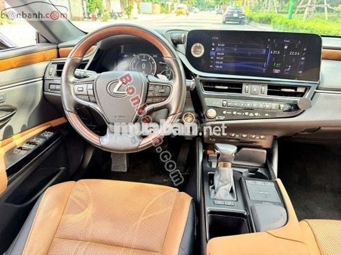 Lexus ES 250 2022
