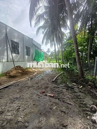 Bán 3 công đất mặt tiền QL53 giá thương lượng