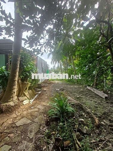 Bán 3 công đất mặt tiền QL53 giá thương lượng