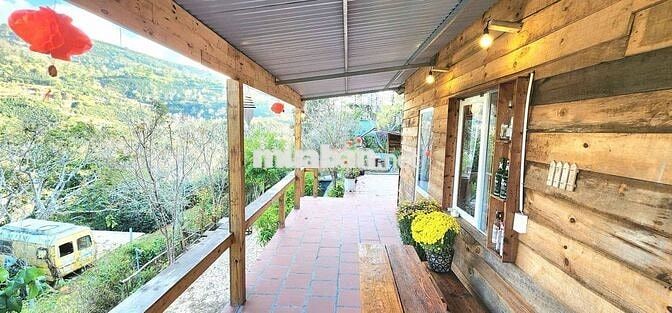 🌿 CHO THUÊ NHÀ NGUYÊN CĂN VIEW ĐỒI QUẠT GIÓ – CẦU ĐẤT, ĐÀ LẠT 🌿