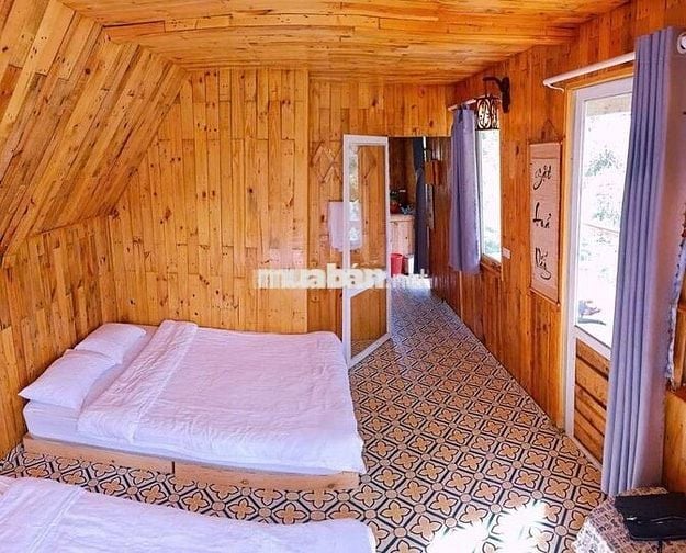 🌿 CHO THUÊ NHÀ NGUYÊN CĂN VIEW ĐỒI QUẠT GIÓ – CẦU ĐẤT, ĐÀ LẠT 🌿