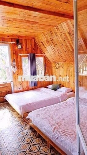 🌿 CHO THUÊ NHÀ NGUYÊN CĂN VIEW ĐỒI QUẠT GIÓ – CẦU ĐẤT, ĐÀ LẠT 🌿