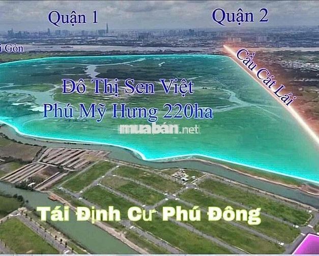 Cần Bán tdc phú Đông Đối Diện Công Viên SHR / Xây Dựng Tự Do