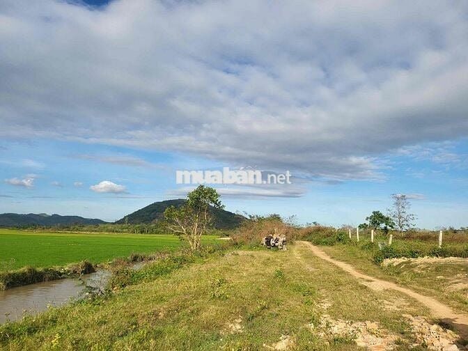 Đất sổ đỏ 900m2 sát bên Buôn Mê Thuột