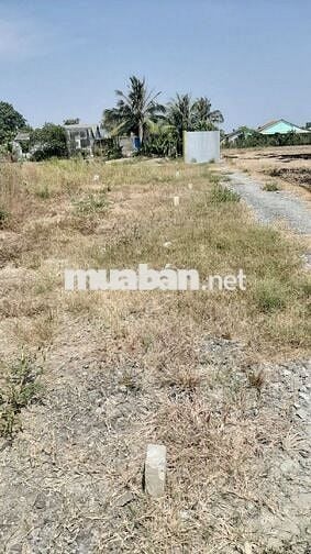 🔴Bán lô đất full thổ cư Ấp 5 Xã Phước Vân Cần Đước Long An. Giá 2,7 tỷ