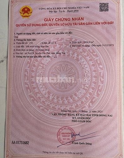 CẦN BÁN HƠN 1HA ĐẤT TẠI TRÀ CỔ, TÂN PHÚ, ĐỒNG NAI – CÁCH SUỐI MƠ 1KM