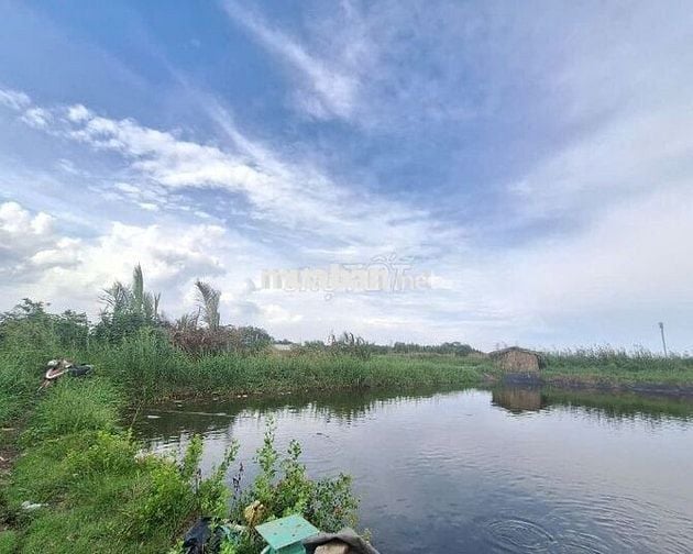 LÔ ĐẤT LÚA NGAY HẺM 1697 LÊ VĂN LƯƠNG NHƠN ĐỨC NHÀ BÈ.