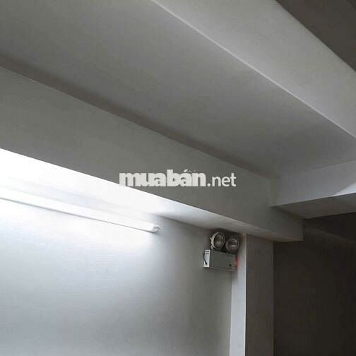 Cho Thuê Nguyên Căn Tòa Nhà 11 Núi Thành Phường 13 Tân Bình Giá 55Tr