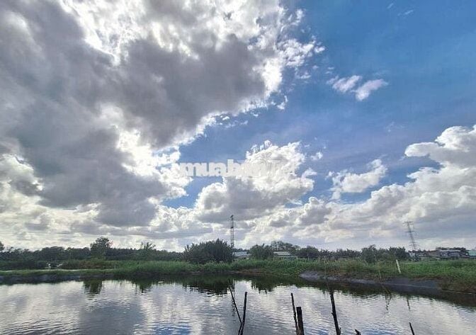 LÔ ĐẤT LÚA NGAY HẺM 1697 LÊ VĂN LƯƠNG NHƠN ĐỨC NHÀ BÈ.