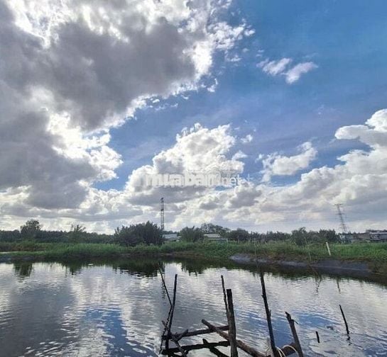 LÔ ĐẤT LÚA NGAY HẺM 1697 LÊ VĂN LƯƠNG NHƠN ĐỨC NHÀ BÈ.
