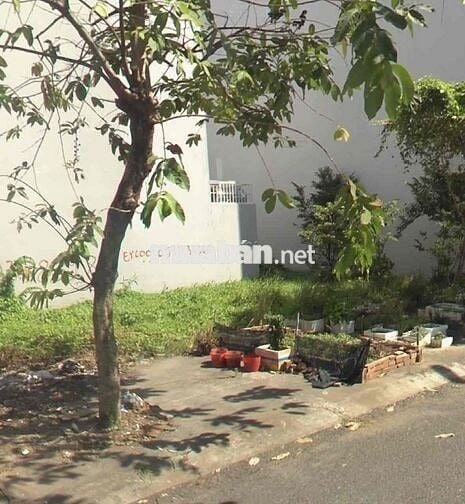chính chủ bán gấp đất dt 86,5m2 giá 1ty620 Q7