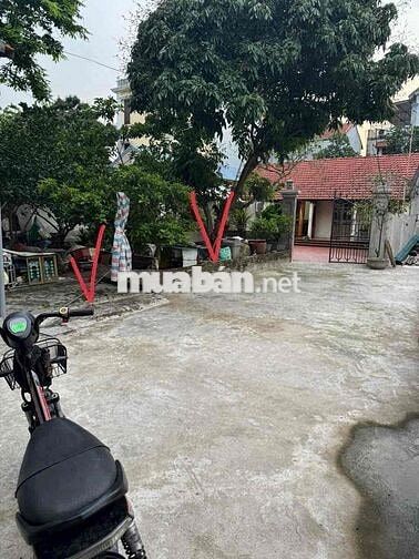Chính chủ cần bán 2 Mảnh đất tại vân tảo 123,3