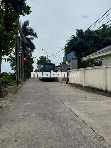 Chính chủ cần bán 2 Mảnh đất tại vân tảo 123,3