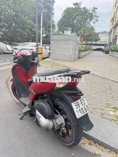 SH Ý lên áo