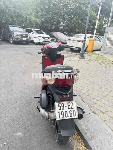 SH Ý lên áo