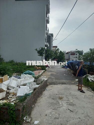 🏡 Bán đất liền kề đấu giá Ngũ Hiệp – Mảnh hiếm, vị trí đẹp