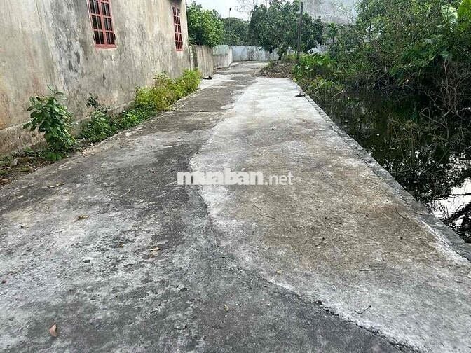 🏡 CHÍNH CHỦ GỬI BÁN LÔ ĐẤT BÌNH XÁ – TIỀN PHONG – ÂN THI – HƯNG YÊN 📌