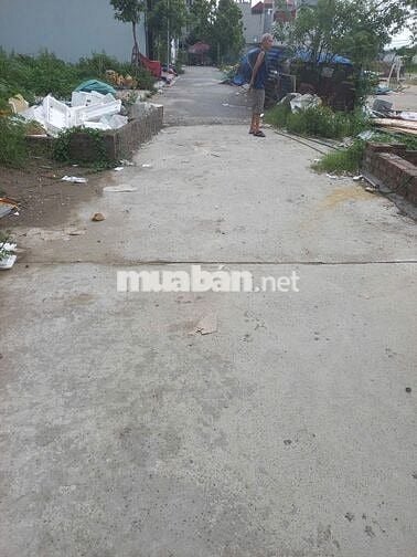 🏡 Bán đất liền kề đấu giá Ngũ Hiệp – Mảnh hiếm, vị trí đẹp